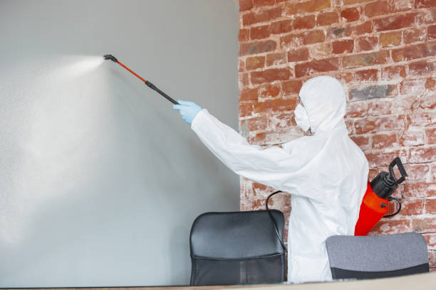 Best Environmental Consulting for Mold Prevention  in Dover, AR