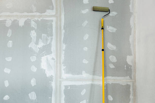 Best Dehumidification Services  in Dover, AR