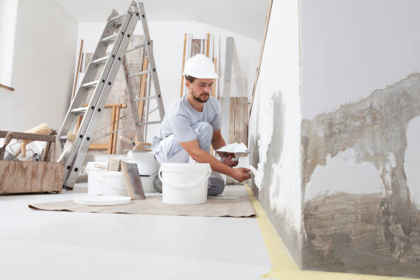 Best Biohazard Mold Removal  in Dover, AR