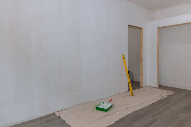 Best Mold Remediation for Healthcare Facilities  in Dover, AR