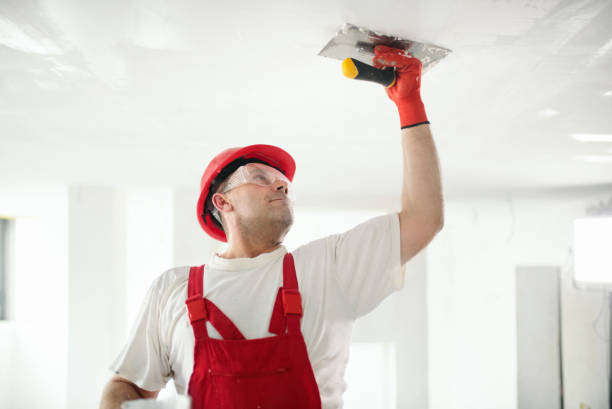 Best Mold-Related Health Consultation  in Dover, AR