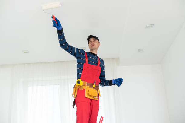 Best Crawl Space Mold Remediation  in Dover, AR