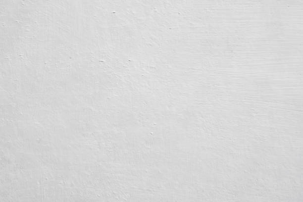 Best Mold Damage Restoration  in Dover, AR