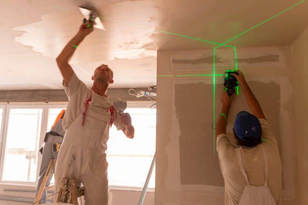 Best Asbestos and Lead Testing During Mold Inspection  in Dover, AR