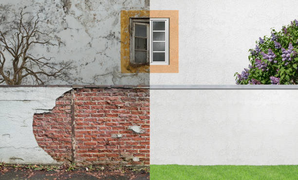 Professional Mold Removal in Dover, AR