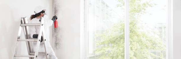 Best Comprehensive Air Testing for Mold Contaminants  in Dover, AR