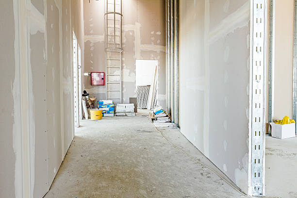 Best Post-Construction Mold Inspection  in Dover, AR