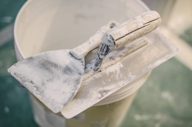 Best Airborne Mold Testing  in Dover, AR